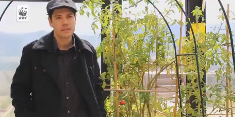 O CEO που έστησε μαντρί σε ταράτσα στους Αμπελόκηπους