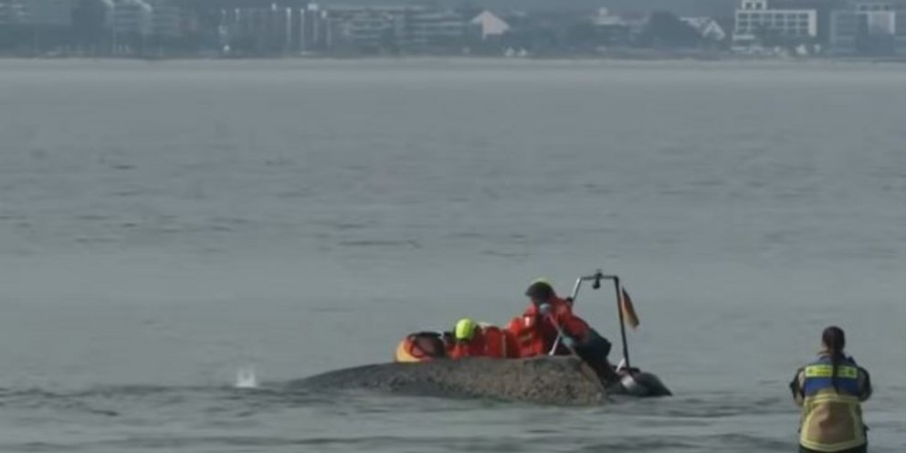 φάλιανα Βαλτική