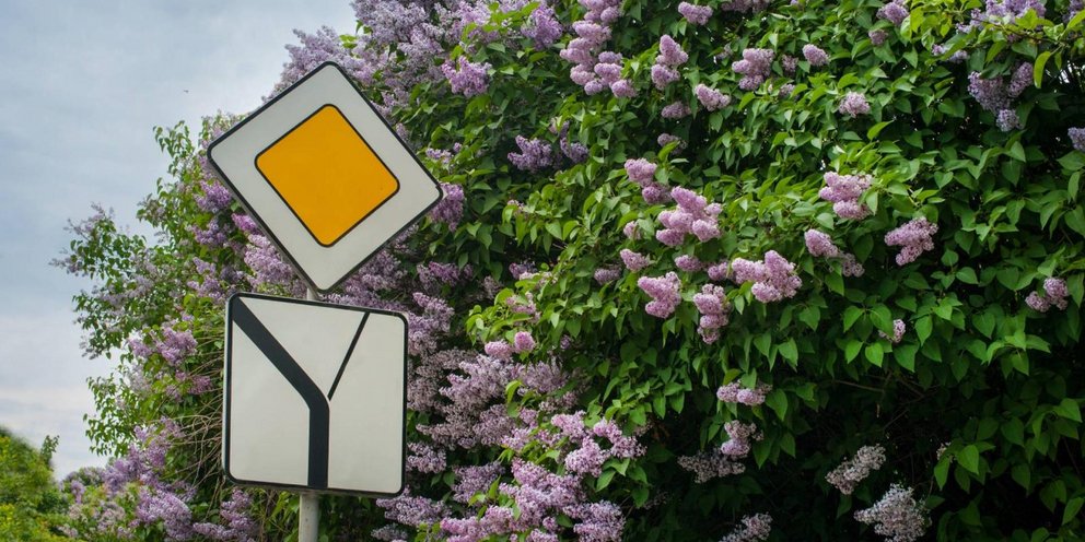 Ταμπέλα σε δρόμο