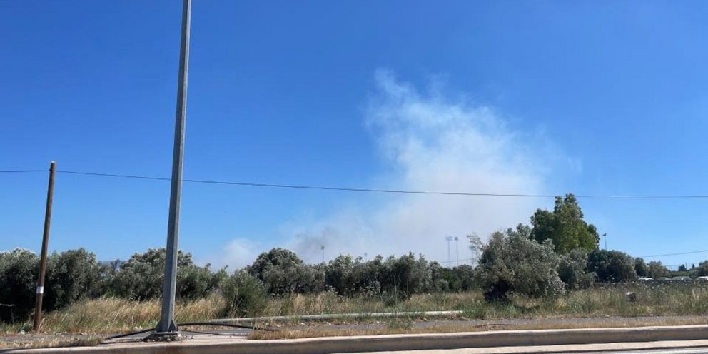 Φωτιά στο Ακραίφνιο Βοιωτίας