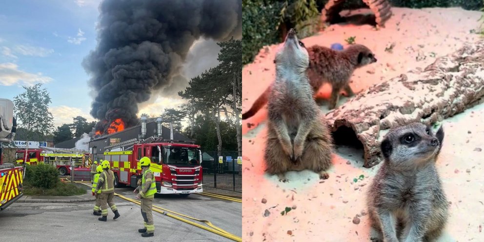 Φωτ.  Hertfordshire Fire and Rescue Service - Tiktok