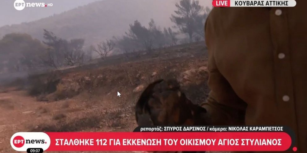 Δημοσιογράφος σε μέτωπο φωτιάς κρατάει στα χέρια του χελώνα