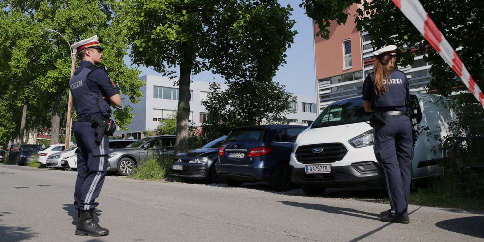 «Υπόθεση Πελικό» στην Αυστρία: Νεκρή 39χρονη μετά από σεξουαλική κακοποίηση -Η τρομακτική καταγγελία