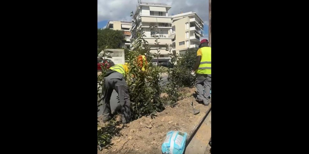 Μεγάλη λεωφόρος της Αθήνας γίνεται καταπράσινη -Πού φυτεύονται 350 νέα δέντρα