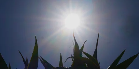 Η πρόγνωση του καιρού 