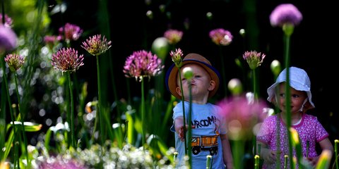   Δυο πιτσιρίκια εξερευνούν τον νέο Κήπο των Παιδιών, έκτασης 10.000 τ.μ. στο Λονδίνο