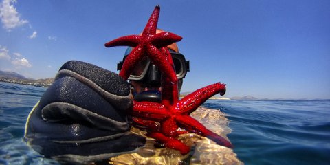 Οι θησαυροί της θάλασσας