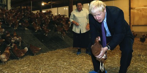 Ο Μπόρις Τζόνσον και η κότα