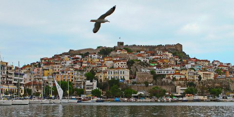 Γλάρος στην Καβάλα