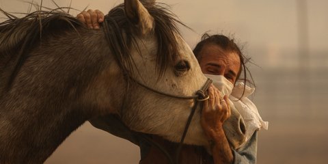  Ενας ιδιοκτήτης ράντσου στην Καλιφόρνια που καίγεται από καταστροφικές πυρκαγιές, προσπαθεί να ηρεμήσει το άλογό του