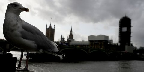 Ενας γλάρος κοιτάζει προς το Βρετανικό Κοινοβούλιο στο Λονδίνο, όπου το Σάββατο τίθεται σε ψηφοφορία η συμφωνία Brexit με την ΕΕ