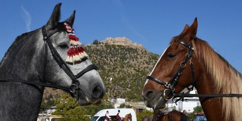 Η 17η Ιππική συνάντηση «Διομήδεια 2019» στο Άργος