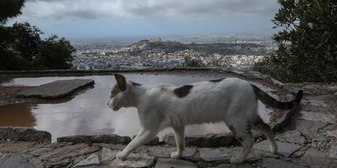 Υπέροχο φθινόπωρο στην Αθήνα: Η θέα από το Λυκαβηττό με φόντο την Ακρόπολη, μαγική 