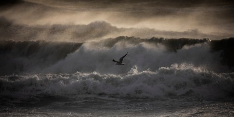   Ενας γλάρος προσπαθεί να ξεφύγει από την καταιγίδα στη Μεσόγειο, έξω από την Βαρκελώνη της Ισπανίας 