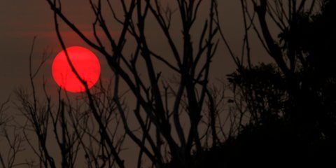 Ο ήλιος «πυρωμένος» δύει, ενώ οι καπνοί πνίγουν τα πάντα στο ανατολικό Gippsland στη Mallacoota της Αυστραλίας που πλήτετται από τις καταστροφικές πυρκαγιές. /Φωτογραφία: Getty-Ideal images