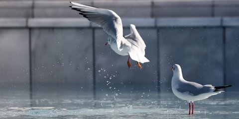 O Ηφαιστίων δημιούργησε ένα λεπτό στρώμα πάγου στο συντριβάνι της Θεσσσαλονίκης! Ιδού το αποτέλεσμα! /Φωτογραφία: Intime News
