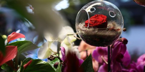 Για τους Βαλεντίνους και τις Βαλεντίνες η σημερινή ημέρα...