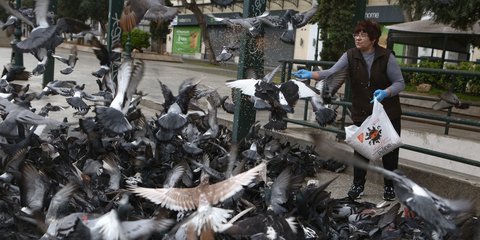 Φιλόζωη ταΐζει τα περιστέρια στην πλατεία Κοτζιά, εν μέσω πανδημίας κορωνοϊού