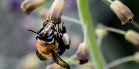 Η άνοιξη μοιράζει απλόχερα τους χυμούς της