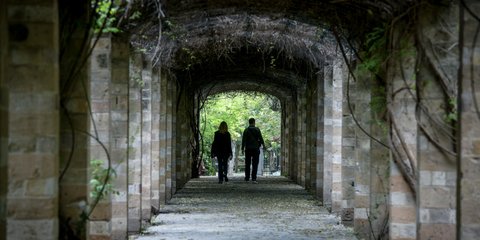 Βγαίνουμε από το τούνελ -Η πρώτη ημέρα επαναλειτουργίας του Εθνικού Κήπου