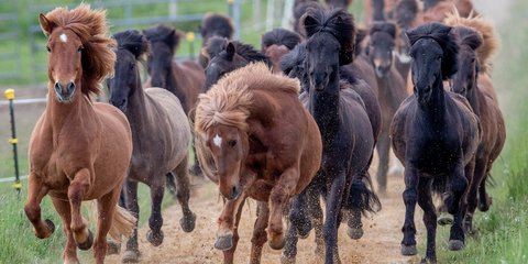 Ετοιμοι να ξεχυθούμε στις παραλίες το Σαββατοκύριακο σαν τα άλογα στη Φρανκφούρτη 