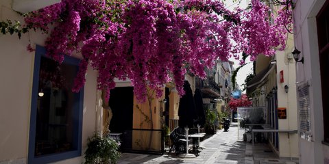 Υπέροχο, ανοιξιάτικο, Ναύπλιο με τις μπουκαμβίλιες να πνίγουν τα γραφικά σοκάκια