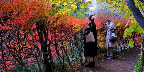 Η παλέτα της φύσης σκορπίζει απλόχερα τα χρώματα του φθινοπώρου στο Ναγκάνο της Ιαπωνίας