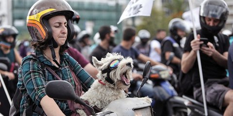 Ενας σκύλος στη μοτοπορεία των ντελιβεράδων 