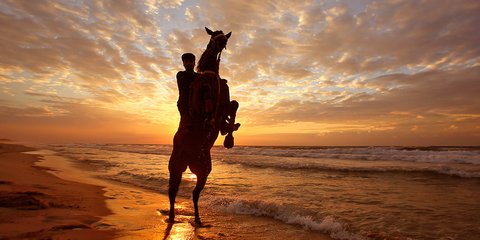 Παλαιστίνιος κάνει ιππασία στη Γάζα το ηλιοβασίλεμα