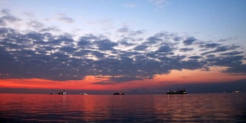 Θεσσαλονίκη: Η φύση προσφέρει αφειδώλευτα την παλέτα των χρωμάτων της, κάνοντας πιο υποφερτό το lockdown