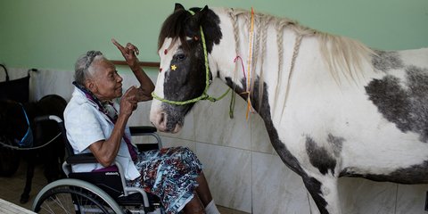 Βραζιλία: Μια γυναίκα μιλά στον «Τόνι», ένα από τα άλογα που διασώθηκαν από την εγκατάλειψη και κρατούν συντροφιά σε ηλικιωμένους 
