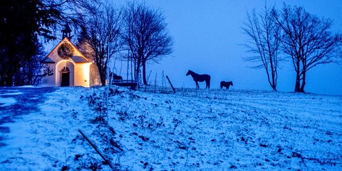 Απόκοσμη εικόνα: Αλογα δίπλα σε ένα φωτισμένο εκκλησάκι στη Φρανκφούρτη