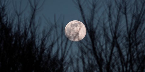 Φεγγάρι του Λύκου... 