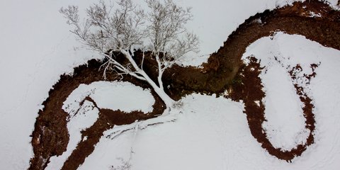Οταν η φύση «ζωγραφίζει»: Χιονισμένο τοπίο στη Φρανκφούρτη 