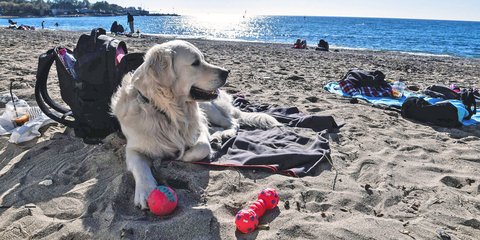Σχεδόν καλοκαιρινό Σαββατοκύριακο Φεβρουαρίου, εν μέσω lockdown/Εurokinissi