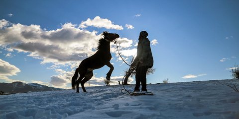 Παιχνίδι στα χιόνια με το άλογο στους πρόποδες του Ολύμπου