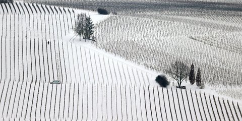 Τα αποτελέσματα της σφοδρής χιονόπτωσης στη Γερμανία.../ΑΡ