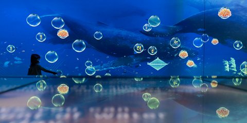 Ενα κοριτσάκι με μάσκα στο ενυδρείο του Ειρηνικού στην Καλιφόρνια 