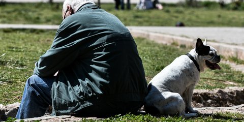 Ηλιόλουστη ημέρα, ευκαιρία για βόλτα για... όλους