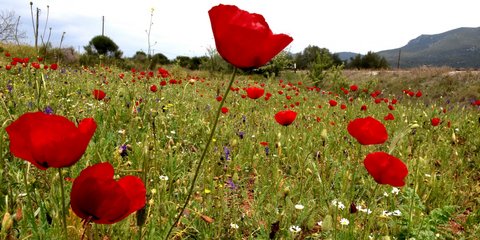 Ερχεται η «Ανάσταση», σε όλα τα επίπεδα