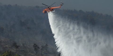 Μαγνησία: Πυρκαγιά στο δήμο Αλμυρού - Δεν κινδυνεύουν ...