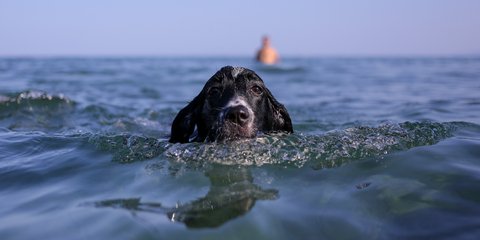 «Δεν βγαίνω έξω μέχρι να τελειώσει ο καύσωνας!» 