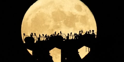 To φεγγάρι στο Τόκιο.../ΑΡ