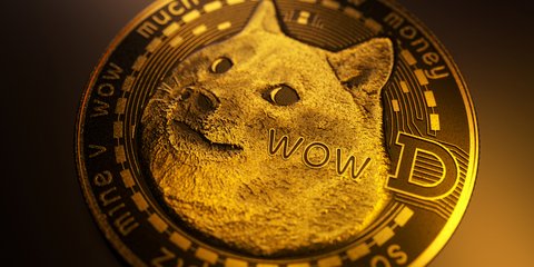 dogecoin tl fiyatı