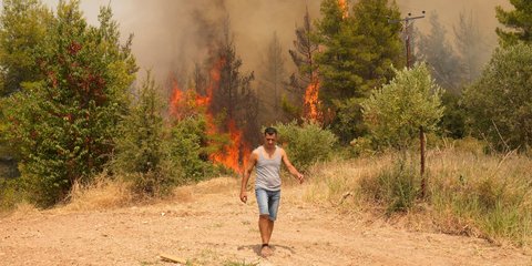 Πυρκαγιά στο χωριό Αβγαριά της Εύβοιας