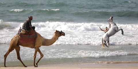 Ενας Παλαιστίνιος με παίζει με το άλογό του στην παραλία της Γάζας υπό το βλέμμα καμηλιέρη