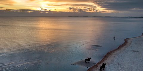 Δύο αναβάτες με τα άλογά τους, απολαμβάνουν τη δύση του ήλιου στη Βαλτική 