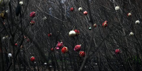 Χριστουγεννιάτικα στολίδια στα καμένα της Βαρυμπόμπης 