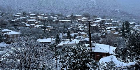 Στα λευκά το... Κολοκοτρωνίτσι ή αλλιώς, Καρυά Αργολίδας