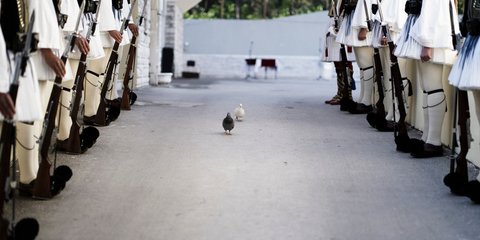 «Επιθεώρηση» στους Εύζωνες της Προεδρικής Φρουράς